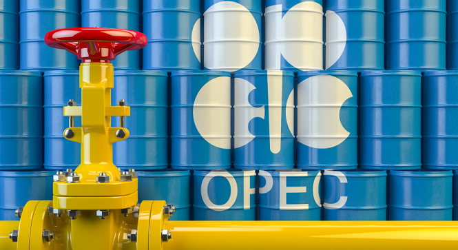 OPEC output rises in July: Survey