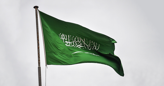 ‎Regulatory structure set for Saudi Irrigation Organization
