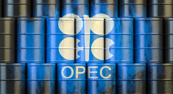 ‎OPEC gets updated offset plans from 4 countries to curb overproduction