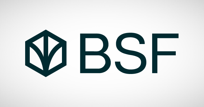 BSF to issue USD-denominated Tier 2 capital notes