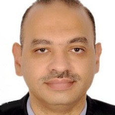 Mohamed A. El Sayed