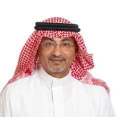 Ibrahim Hayel Saeed Anam